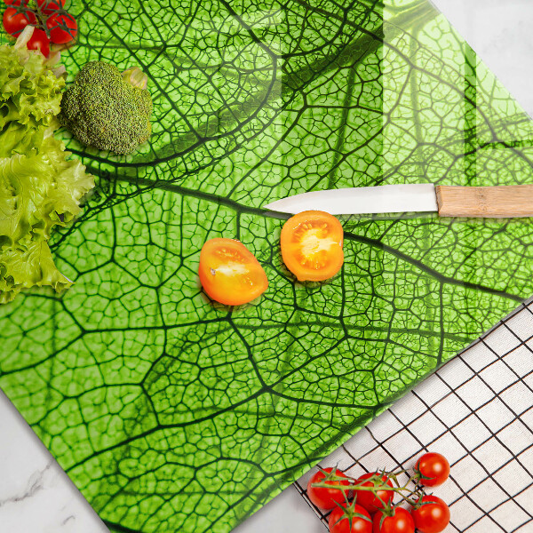 Osłona na płytę indukcyjną Żyłki liści natura