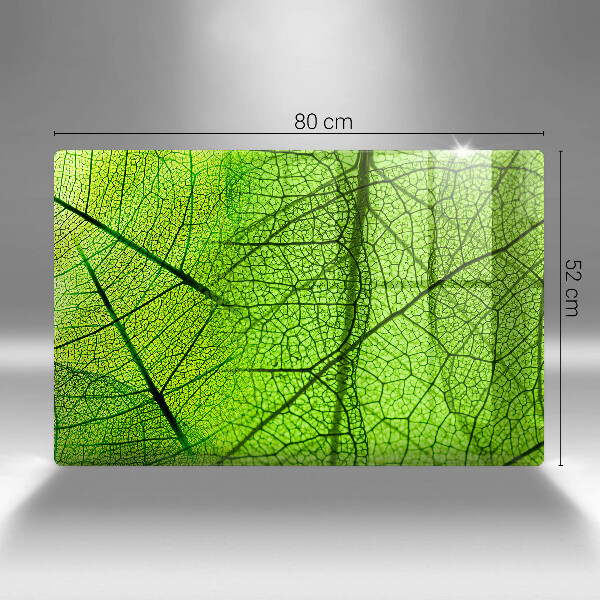 Osłona na płytę indukcyjną Żyłki liści natura