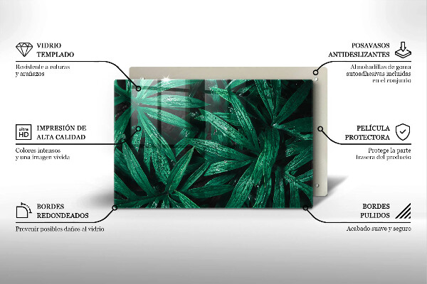 Osłona płyty indukcyjnej Rośliny liście