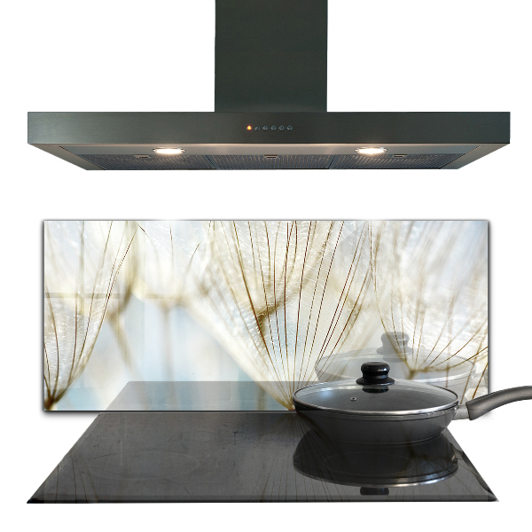 Szklany panel do kuchni Mniszek Dmuchawiec na Wietrze