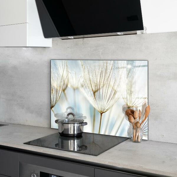 Szklany panel do kuchni Mniszek Dmuchawiec na Wietrze