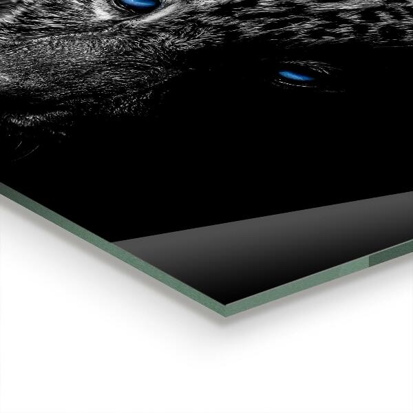 Panel szklany do kuchni Mroczna Pantera Dziki Kot
