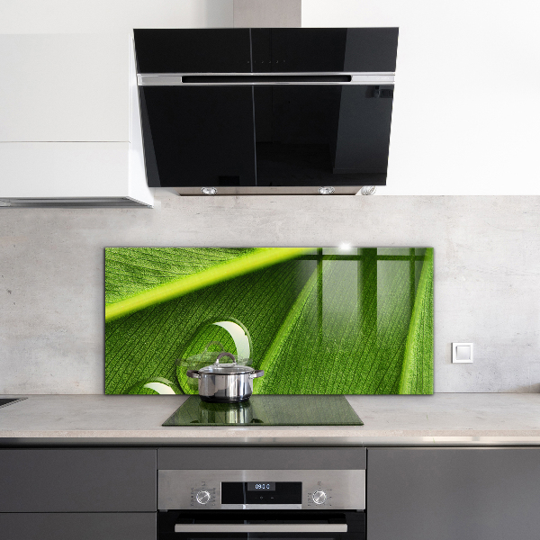 Panel szklany do kuchni Kropla Rosy na Liściu