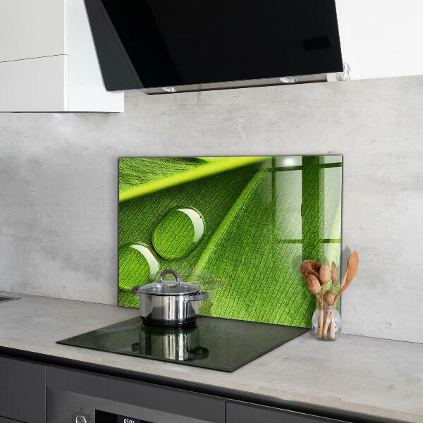 Panel szklany do kuchni Kropla Rosy na Liściu