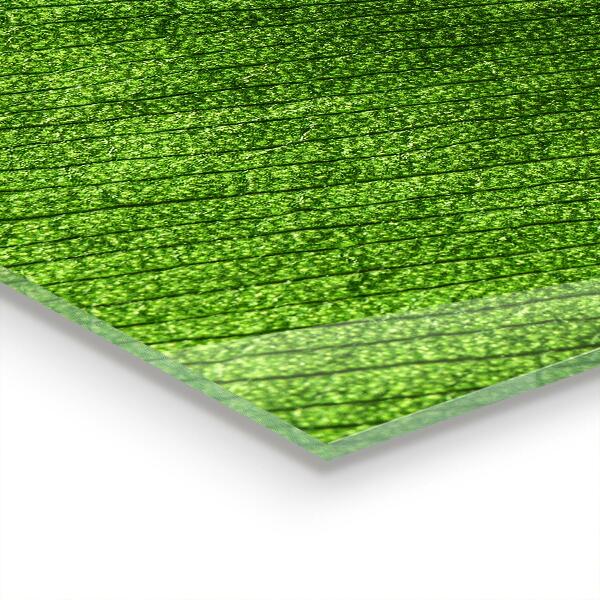 Panel szklany do kuchni Kropla Rosy na Liściu