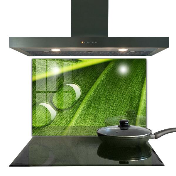 Panel szklany do kuchni Kropla Rosy na Liściu