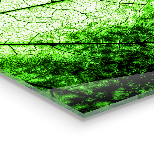 Szklany panel do kuchni Tekstura Zielonego Liścia