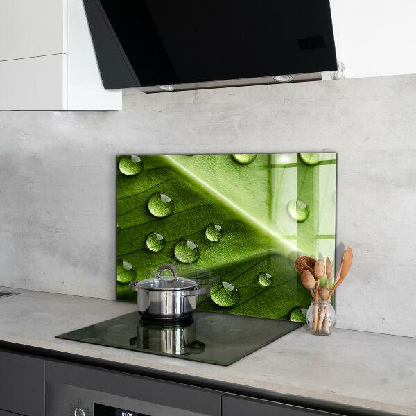 Szklany panel do kuchni Liść z Kroplami Porannej Rosy