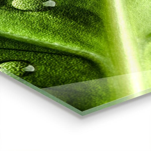 Szklany panel do kuchni Liść z Kroplami Porannej Rosy