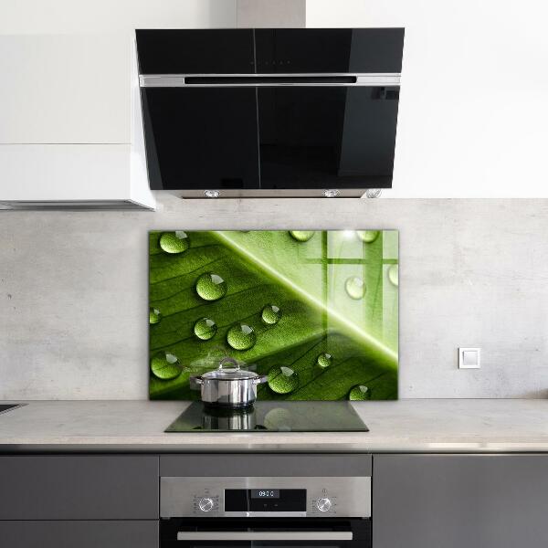 Szklany panel do kuchni Liść z Kroplami Porannej Rosy