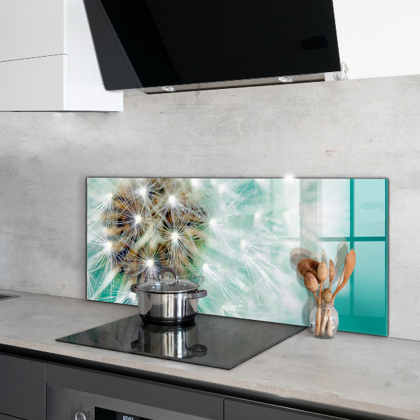 Szklany panel do kuchni Dmuchawiec na Wietrze Roślina