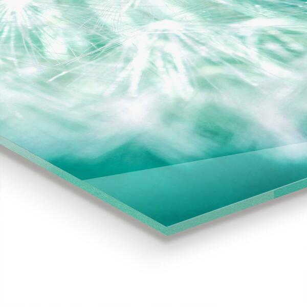 Szklany panel do kuchni Dmuchawiec na Wietrze Roślina