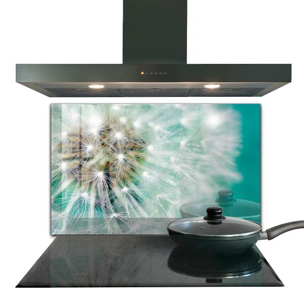 Szklany panel do kuchni Dmuchawiec na Wietrze Roślina