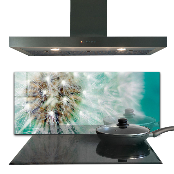 Szklany panel do kuchni Dmuchawiec na Wietrze Roślina