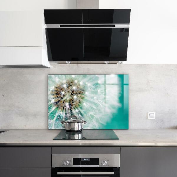 Szklany panel do kuchni Dmuchawiec na Wietrze Roślina