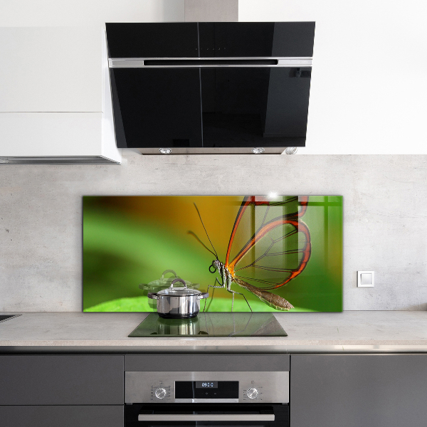 Panel szklany do kuchni Motyl na Liściu