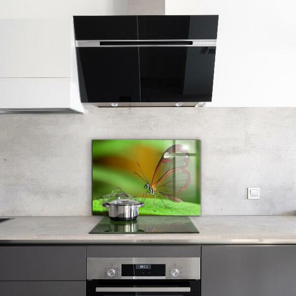 Panel szklany do kuchni Motyl na Liściu