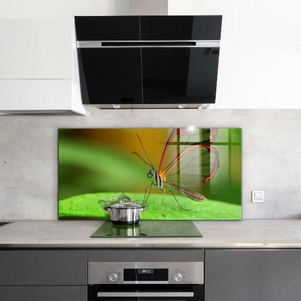 Panel szklany do kuchni Motyl na Liściu