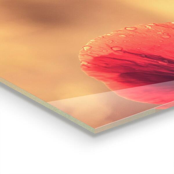 Szklany panel do kuchni Vintage Mak Roślina