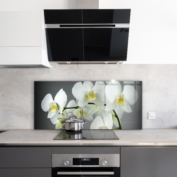 Szklany panel do kuchni Biały Storczyk na Czarnym Tle