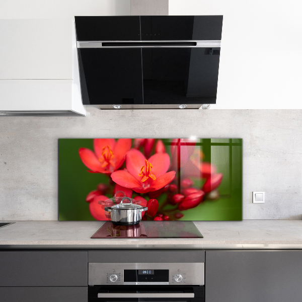Panel szklany do kuchni Rozkwitające Pąki Kwiatów