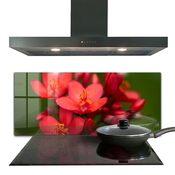 Panel szklany do kuchni Rozkwitające Pąki Kwiatów