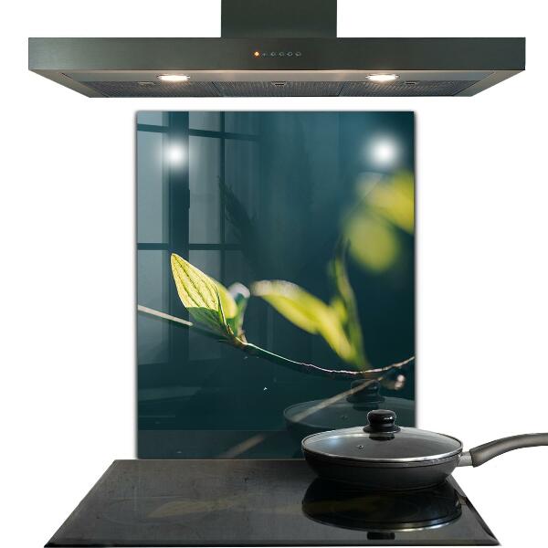 Panel szklany do kuchni Błyszczący Liść na Gałęzi