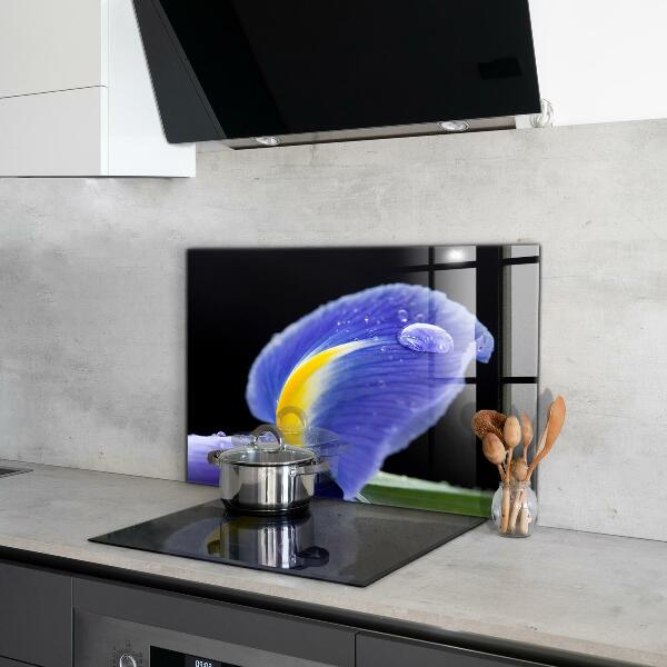 Panel szklany do kuchni Fioletowy Irys Kwiat