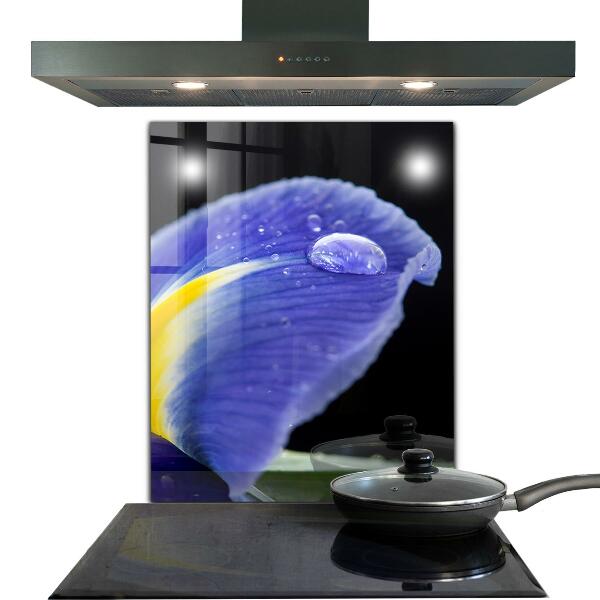 Panel szklany do kuchni Fioletowy Irys Kwiat