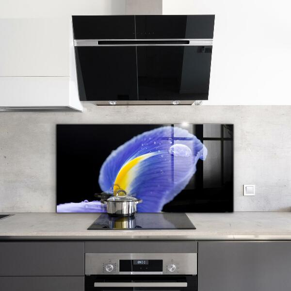 Panel szklany do kuchni Fioletowy Irys Kwiat