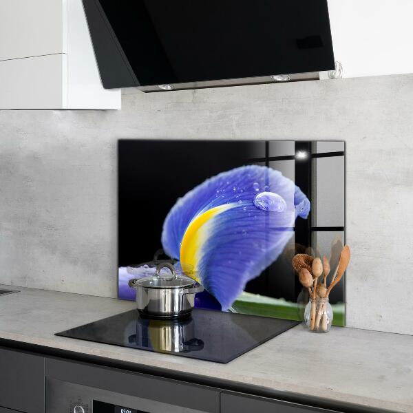 Panel szklany do kuchni Fioletowy Irys Kwiat