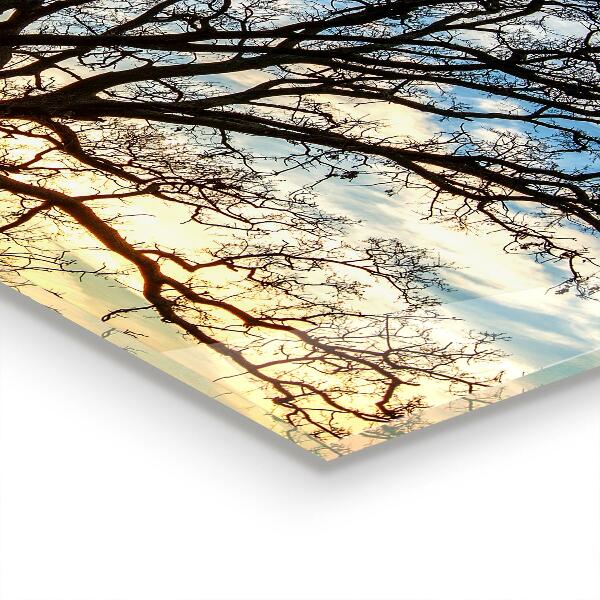 Panel szklany do kuchni Pejzaż Łąka o Poranku