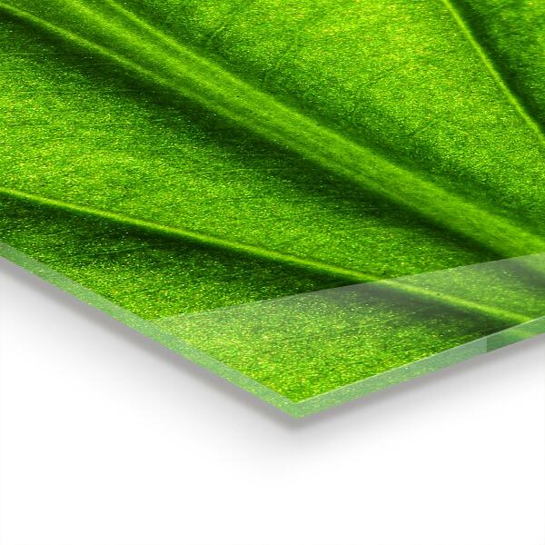Panel szklany do kuchni Detale Zielonego Liścia