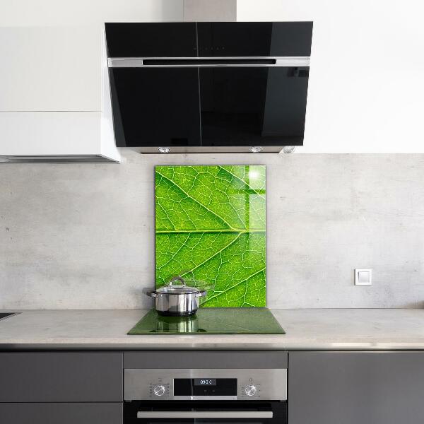 Lacobel do kuchni Detale Delikatnego Liścia