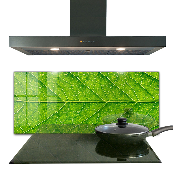 Lacobel do kuchni Detale Delikatnego Liścia