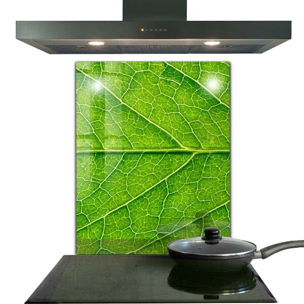 Lacobel do kuchni Detale Delikatnego Liścia