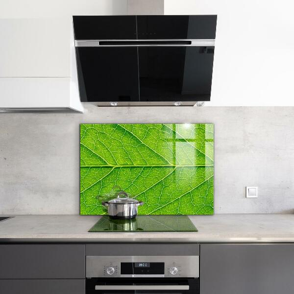 Lacobel do kuchni Detale Delikatnego Liścia
