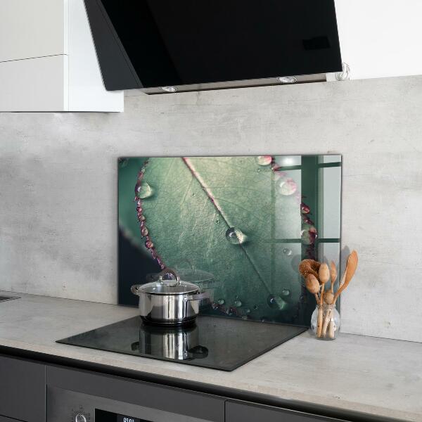 Lacobel do kuchni Liść z Kroplą Rosy