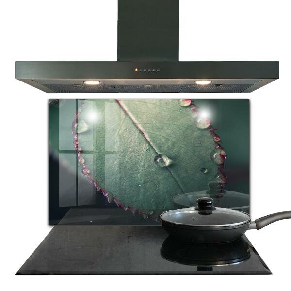 Lacobel do kuchni Liść z Kroplą Rosy