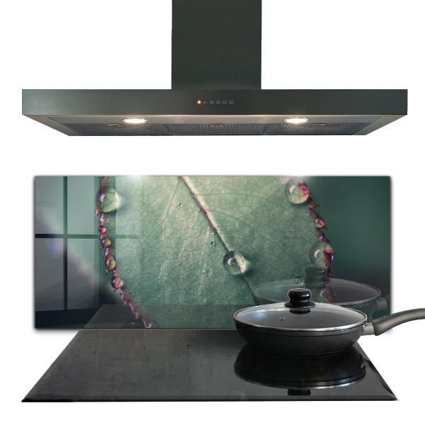 Lacobel do kuchni Liść z Kroplą Rosy