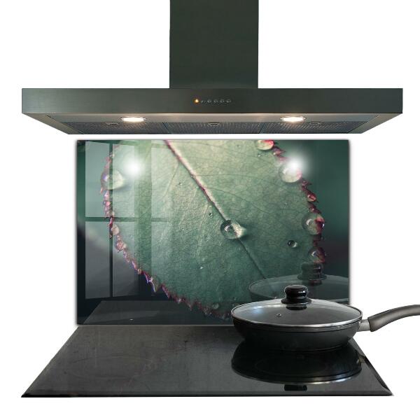 Lacobel do kuchni Liść z Kroplą Rosy