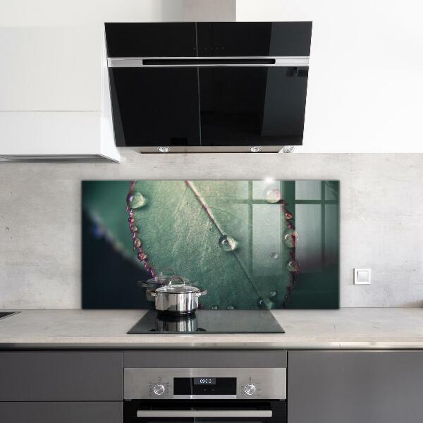 Lacobel do kuchni Liść z Kroplą Rosy