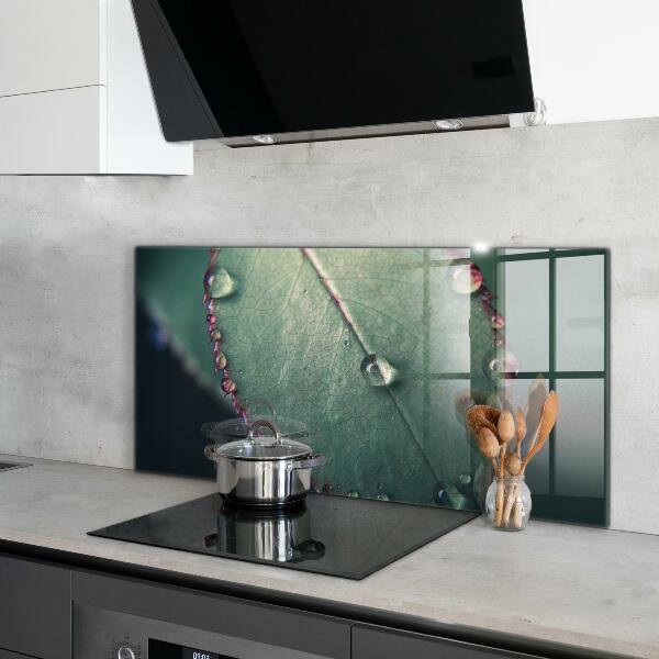 Lacobel do kuchni Liść z Kroplą Rosy