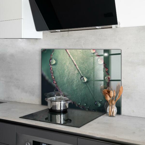 Lacobel do kuchni Liść z Kroplą Rosy