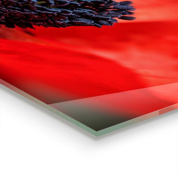 Lacobel do kuchni Czerwony Mak Detale