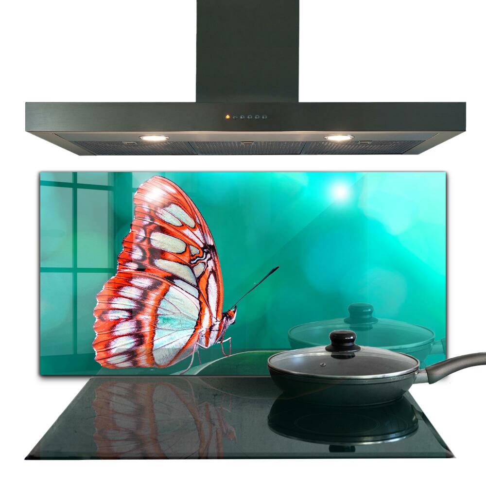 Panel szklany do kuchni Piękny Motyl w Naturze