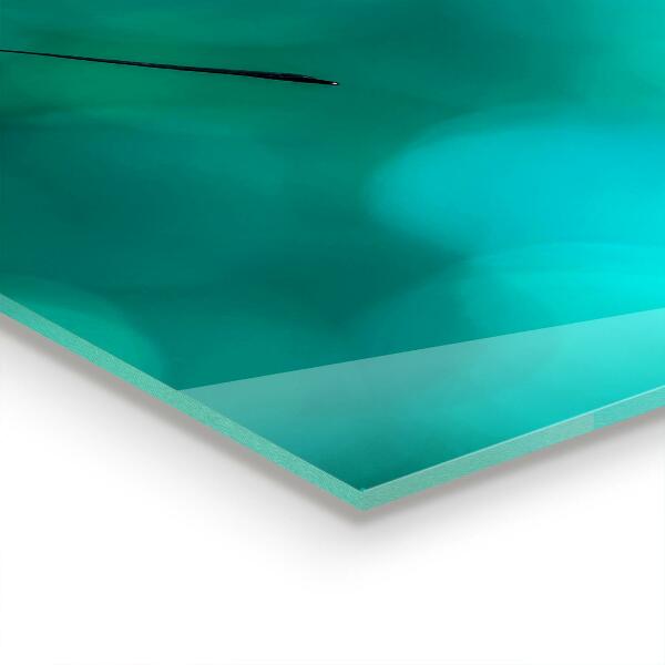 Panel szklany do kuchni Piękny Motyl w Naturze