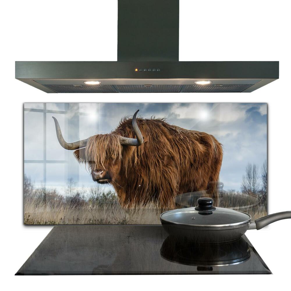 Panel szklany do kuchni Krowa Highland Boho