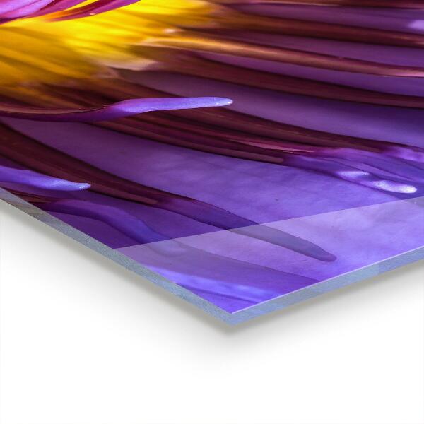 Lacobel do kuchni Detale Fioletowego Kwiatu