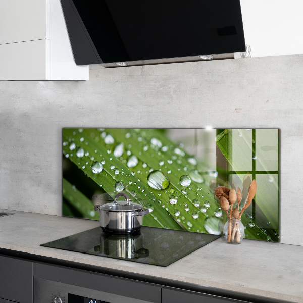 Lacobel do kuchni Krople Rosy na Trawie